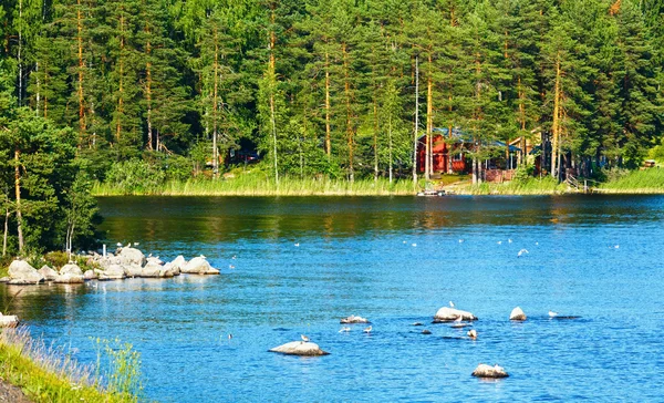 Seeblick im Sommer (Finnland). — Stockfoto