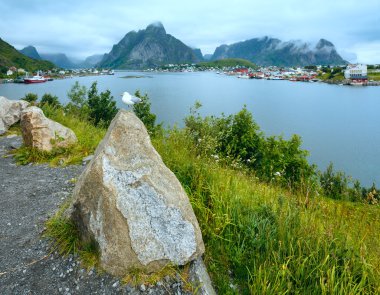 Yaz köye reine (lofoten, Norveç).