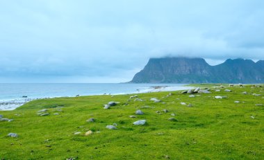 haukland plaj yaz manzarası (Norveç, lofoten).