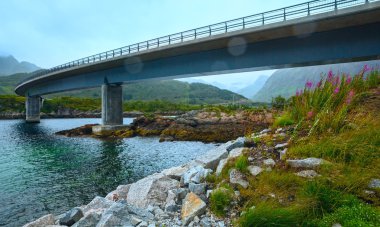Norveç Denizi gece görüş ve köprü