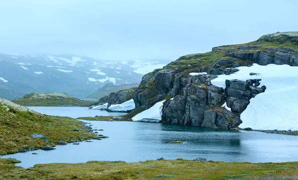 夏天山与湖和雪 (挪威) — 图库照片