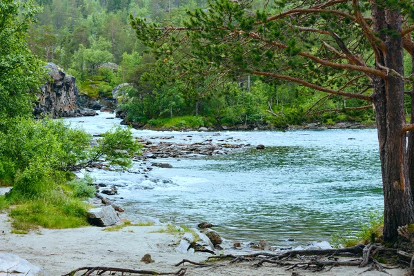 Yaz dağ nehir (norge) — Stok fotoğraf