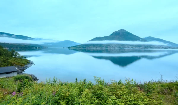Verão fiorde vista nublada (Noruega ) — Fotografia de Stock