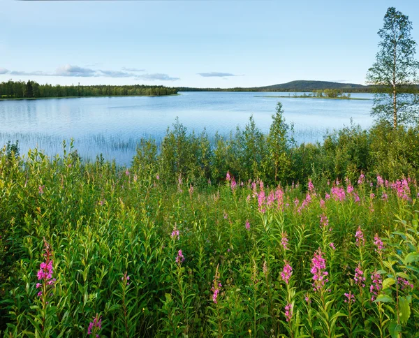 Vista de verão do lago (Suécia ). — Fotografia de Stock