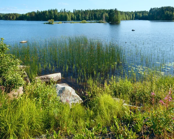 Vista de verão do lago (Finlândia ). — Fotografia de Stock