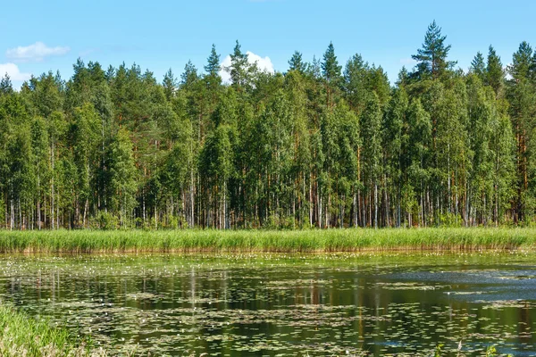Lake ruotsalainen zomer weergave (finland). — Stockfoto