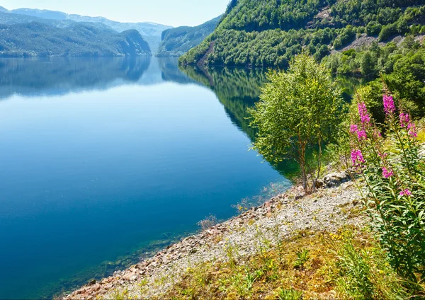 Yaz dağ gölü suldalsvatn (Norveç)