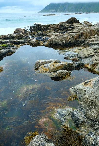 Ramberg playa verano nublado vista (Noruega, Lofoten ). — Foto de Stock