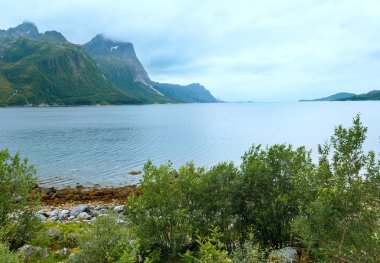 Fjord yaz Clear view (Norveç)