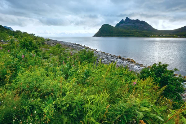 海の夏景色 （ノルウェー ロフォーテン諸島). — ストック写真