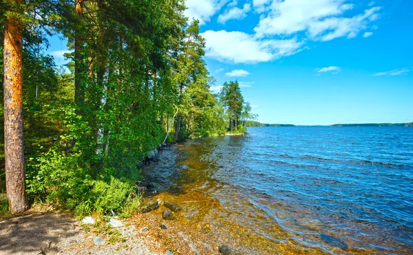 Lago di Ruotsalainen vista estiva (Finlandia ). — Foto Stock