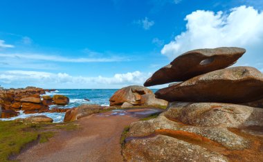 Ploumanach sahil görünümü (brittany, Fransa)