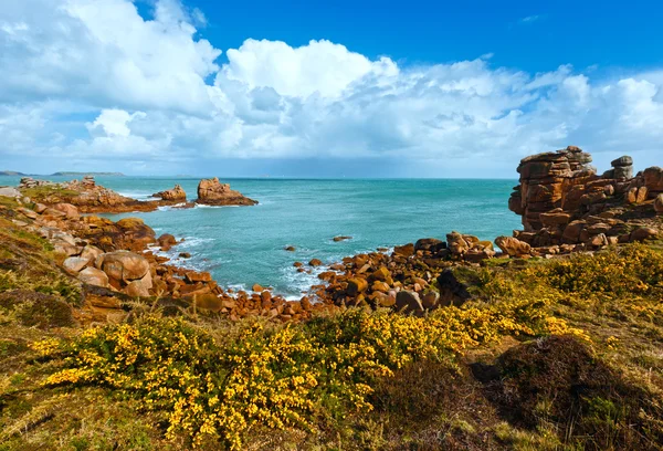 Ploumanach coast spring view (Brittany, France) — Stock Photo, Image