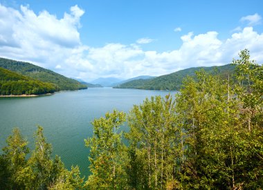 Lake vidraru yaz peyzaj (Romanya).