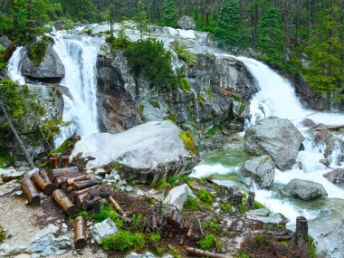 büyük soğuk vadi yaz görünümü (yüksek tatras, Slovakya).