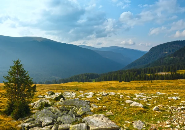 Nyári transalpina road (Kárpátok, Románia). — Stock Fotó