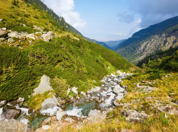 Verano vista montaña (Rumania ) — Foto de Stock