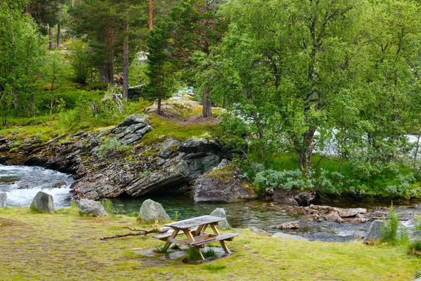 夏の山の川 (ノルゲ) — ストック写真
