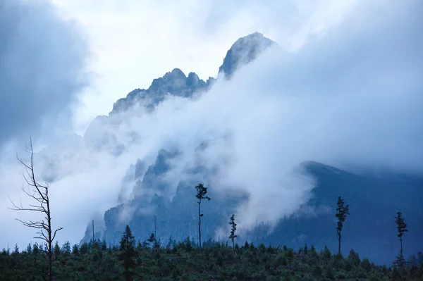 높은 tatras (슬로바키아) 여름 보기. — 스톡 사진