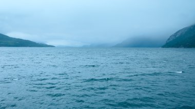 hardangerfjord yaz Clear view (Norveç)