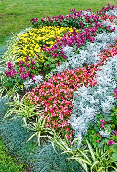 Höstens blomsterrabatt sammansättning — Stockfoto