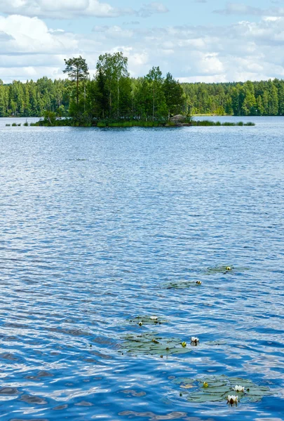 Lago Rutajarvi vista de verão (Finlândia ). — Fotografia de Stock