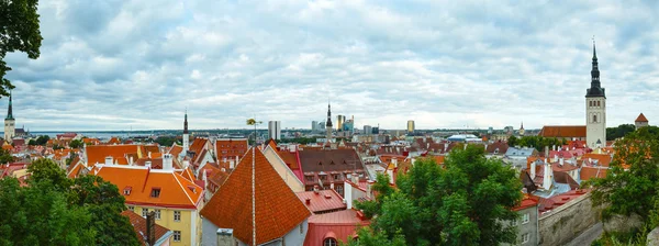 Tallinn City summer panorama. — Stock Photo, Image