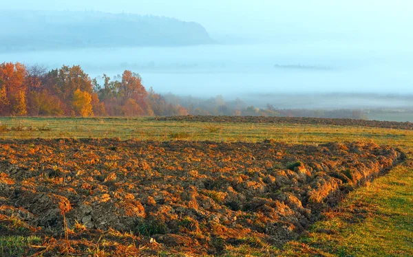 Wschód kraju jesień krajobraz — Zdjęcie stockowe