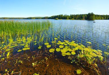 Yaz Oda (Finlandiya).