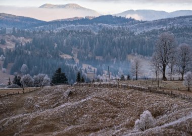 Kış geliyor. Sonbaharın sonlarına doğru çimlerde, ağaçlarda ve yamaçlarda kırağı olan karamsar ve sisli bir sabah manzarası. Ukrayna, Karpat Dağları.