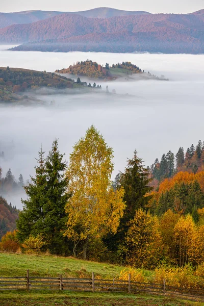 Bewölkt Und Neblig Herbstberg Frühen Morgen Vor Sonnenaufgang Szene Friedliche — Stockfoto