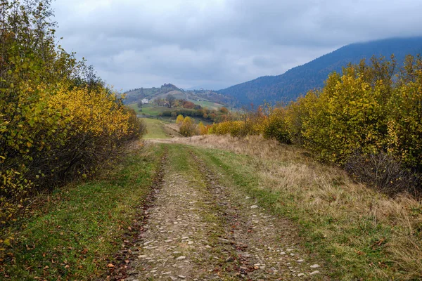 Hazy Couvert Automne Carpates Chemin Campagne Sale Ukraine — Photo