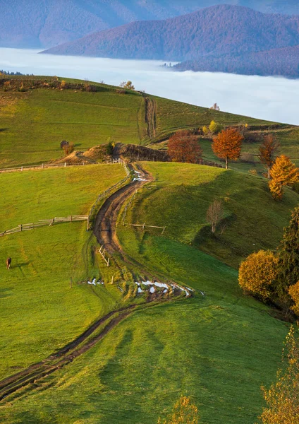 Ochtend Mistige Wolken Herfst Berglandschap Oekraïne Karpaten Transcarpathie Vreedzaam Pittoresk — Stockfoto