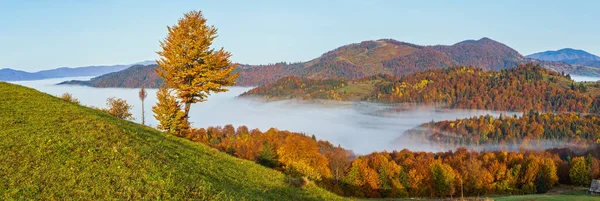 Ranní Mlhavé Mraky Podzimní Horské Krajině Ukrajina Karpaty Zakarpaty Klidné — Stock fotografie