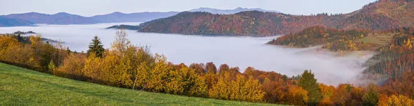 秋山乡晨雾弥漫 乌克兰喀尔巴阡山脉外喀尔巴阡山脉和平的风景秀丽的旅游 季节性的 自然的和乡村的美的概念风景 — 图库照片