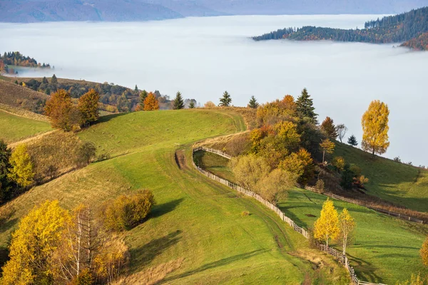 秋の山の田舎で朝霧の雲 ウクライナ カルパティア山脈 トランスカルパティア 穏やかな絵の旅 自然と田舎の美しさのコンセプトシーン — ストック写真
