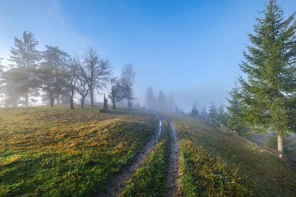 Sisli Sonbahar Dağ Gündoğumu Sahnesi Huzurlu Manzaralı Seyahat Mevsimsel Doğa — Stok fotoğraf