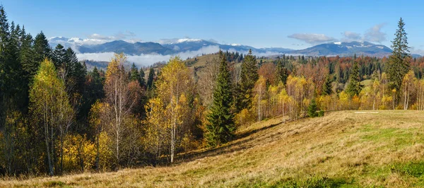 深秋的山清水秀 雪覆山顶 雾蒙蒙的云雾笼罩山谷 风景秀丽的旅游 季节性的 自然的和乡村的美的概念风景 喀尔巴阡山 乌克兰 — 图库照片