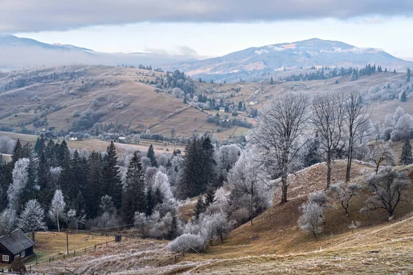 Inverno Está Chegar Cena Pitoresca Manhã Enevoada Mal Humorada Paisagem — Fotografia de Stock