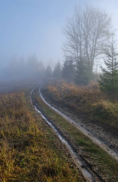 Foggy Automne Montagne Lever Soleil Scène Calme Voyage Pittoresque Saisonnier — Photo