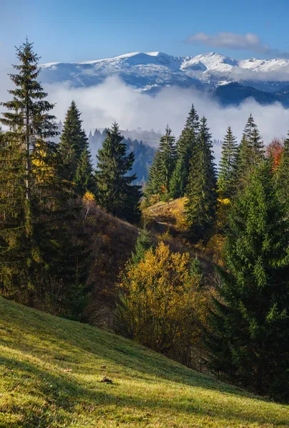 Late Herfst Berg Ochtend Scène Met Sneeuw Bedekte Toppen Ver — Stockfoto