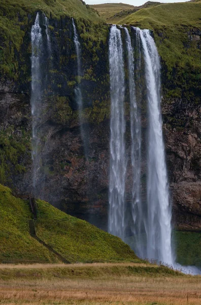 Живописный Водопад Seljalandsfoss Осенний Вид Юго Запад Исландии — стоковое фото