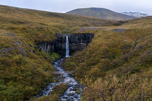 Живописный Водопад Свартифосс Исландский Черного Водопада Окруженный Тёмными Лавовыми Базальтовыми — стоковое фото