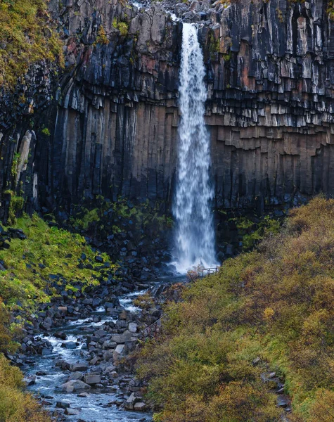 Γραφικός Καταρράκτης Svartifoss Ισλανδικά Για Μαύρο Καταρράκτη Που Περιβάλλεται Από — Φωτογραφία Αρχείου