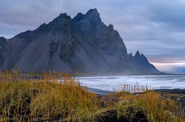 Sunrise Stoksnes Cape Sahili ve Vestrahorn Dağı, İzlanda. İnanılmaz doğa manzarası, popüler seyahat yerleri. Siyah volkanik kum tepelerinde sonbahar otları.