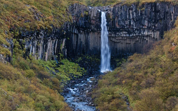 Pittoresca Cascata Svartifoss Islandese Cascata Nera Circondata Colonne Basalto Lavico — Foto Stock