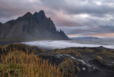 Sunrise Stoksnes Cape Sahili ve Vestrahorn Dağı, İzlanda. İnanılmaz doğa manzarası, popüler seyahat yerleri. Siyah volkanik kum tepelerinde sonbahar otları.
