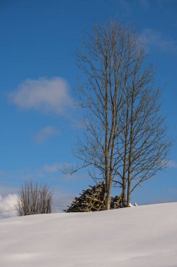 Winter remote alpine mountain village outskirts