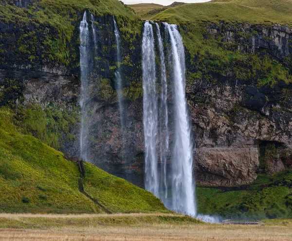 Picturesque Waterfall Seljalandsfoss Осінній Вид Південний Захід Ісландії — стокове фото