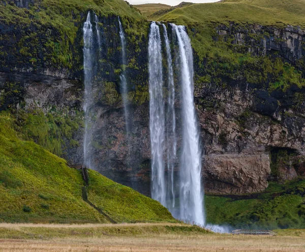 Resimli Şelale Seljalandsfoss Sonbahar Manzarası Güneybatı Zlanda — Stok fotoğraf